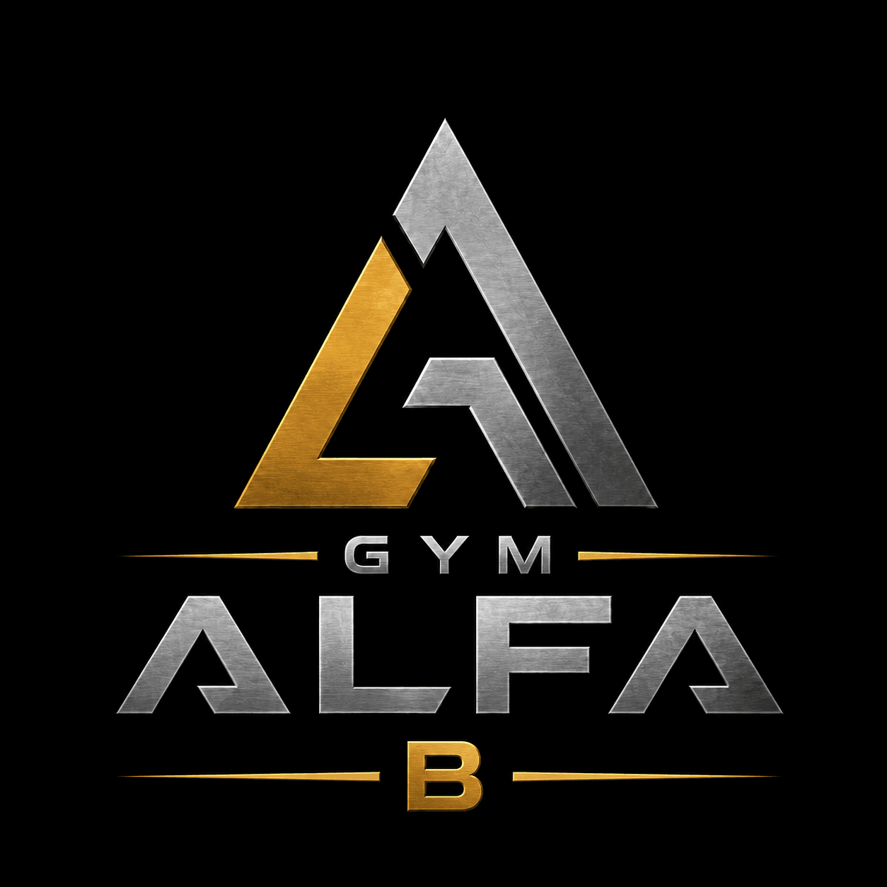 GYM ALFA B logo