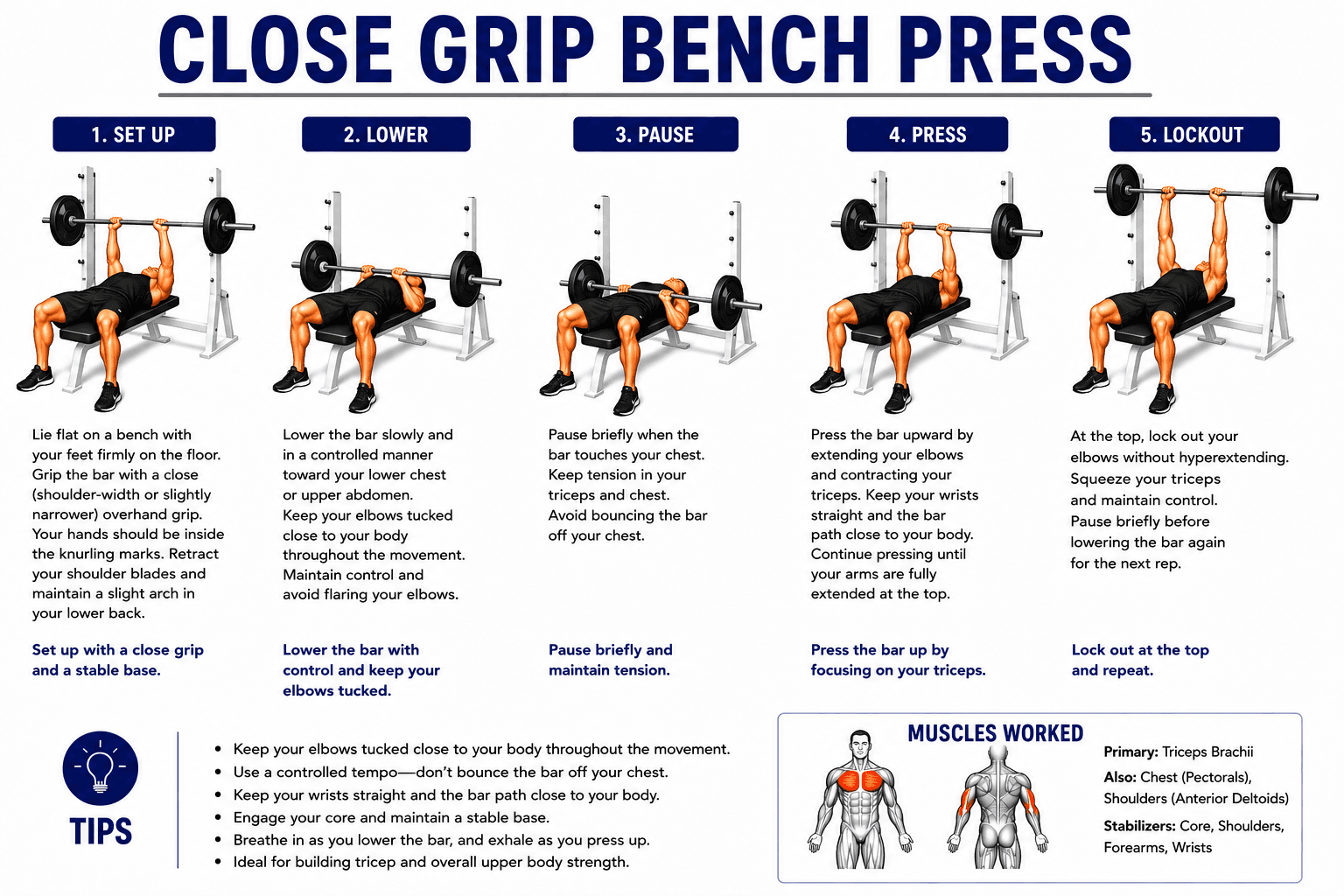 Close Grip Bench Press