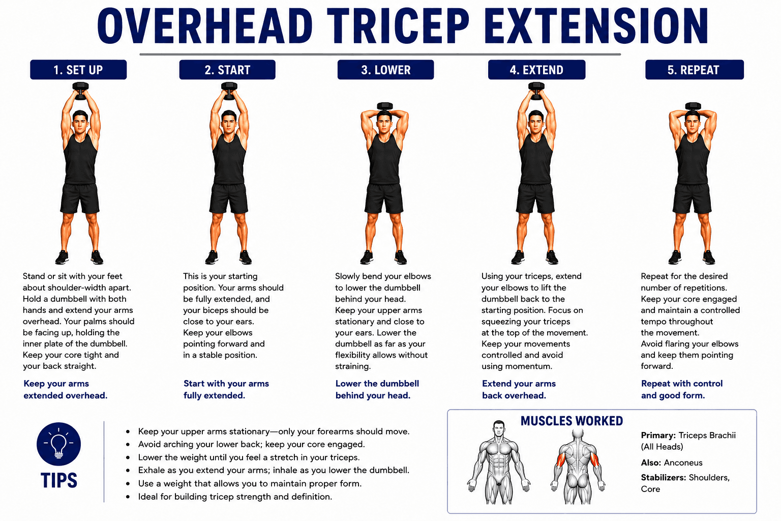Overhead Tricep Extension