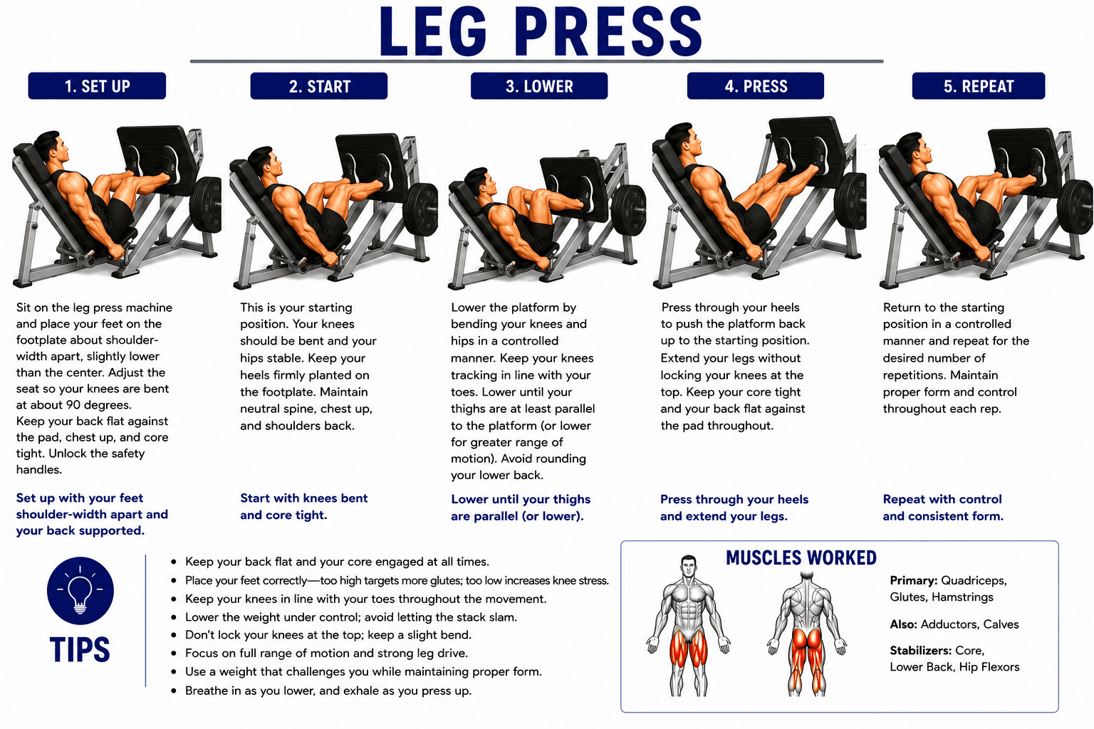 Leg Press