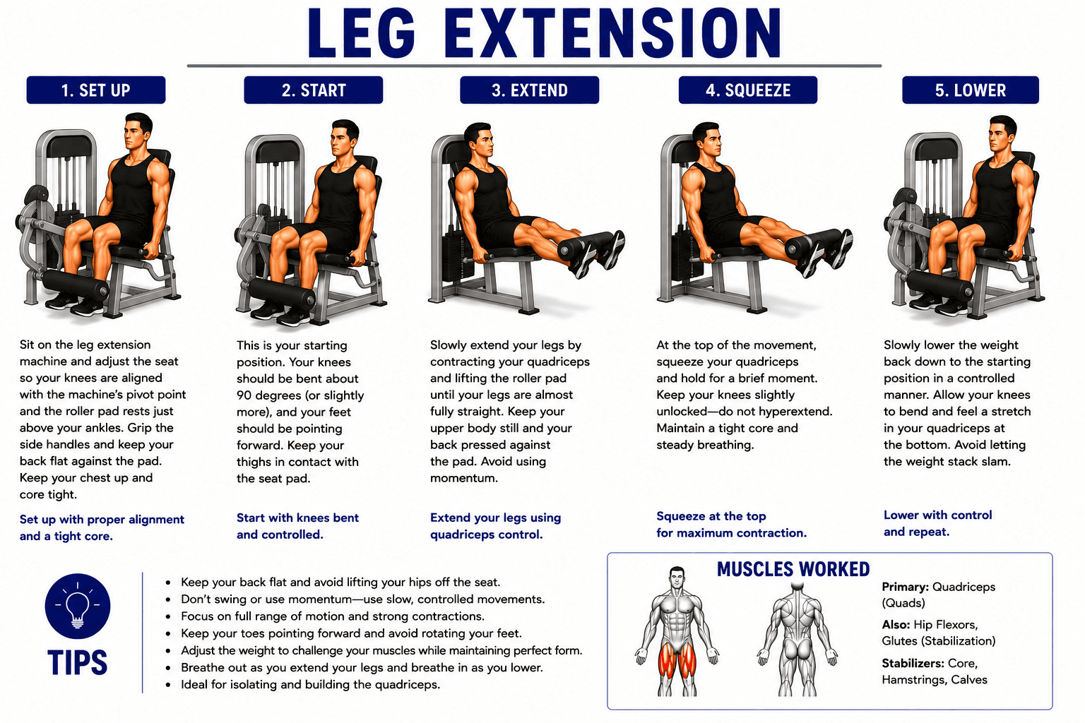 Leg Extension