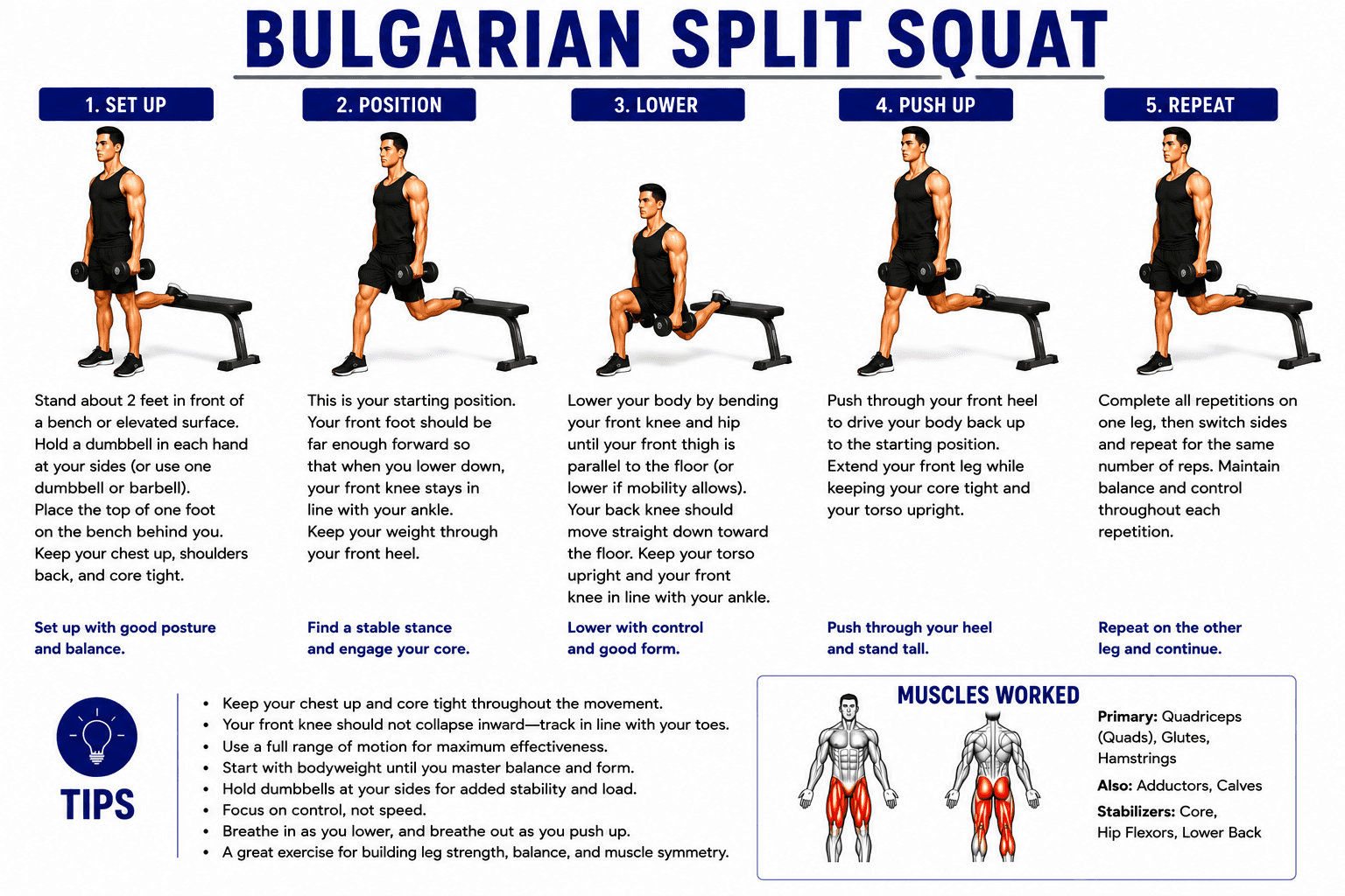 Bulgarian Split Squat