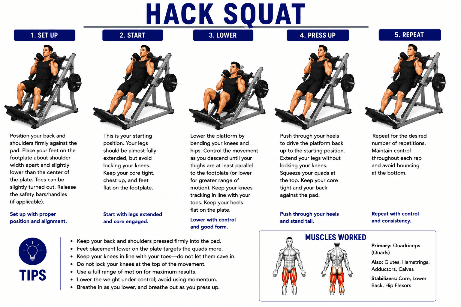 Hack Squat