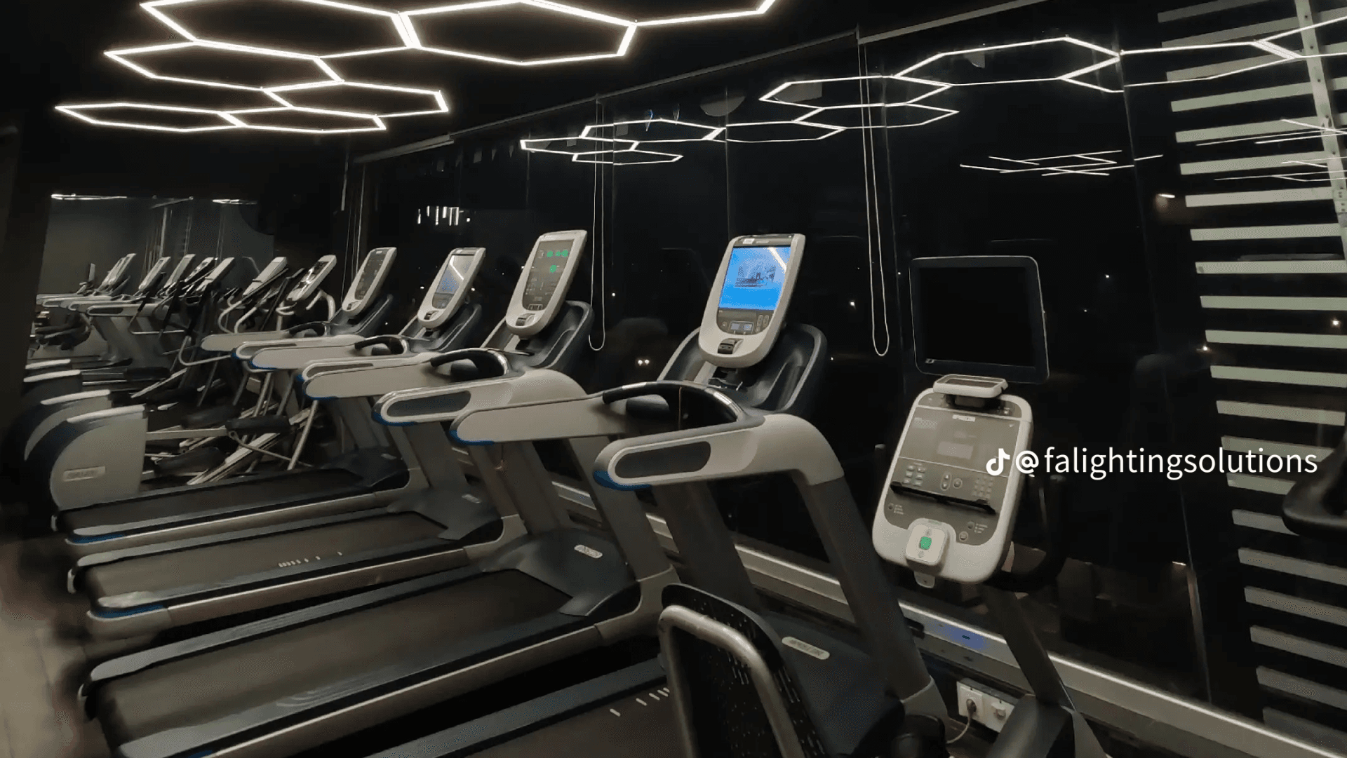 Musa Pro Fitness Gym
