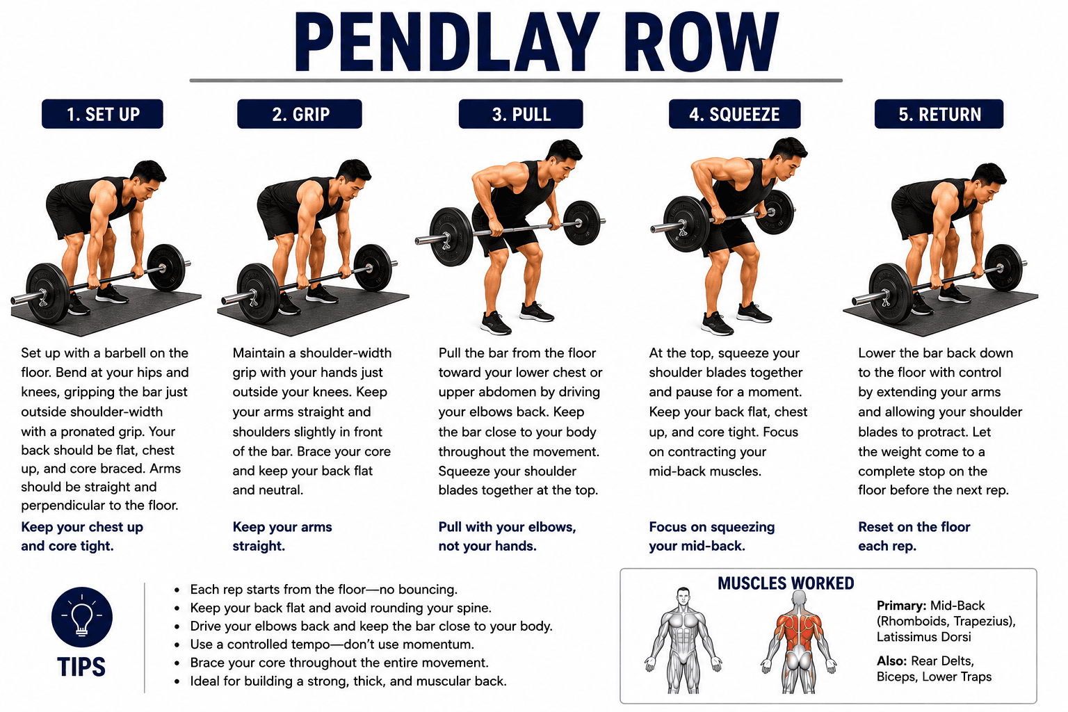 Pendlay Row