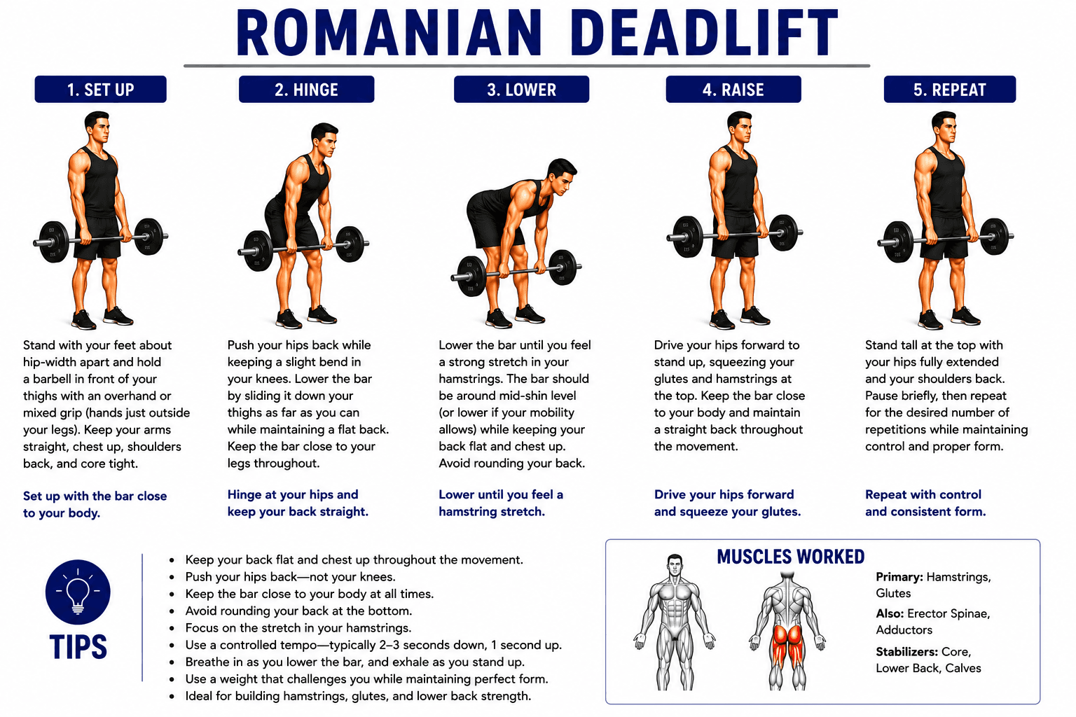 Romanian Deadlift