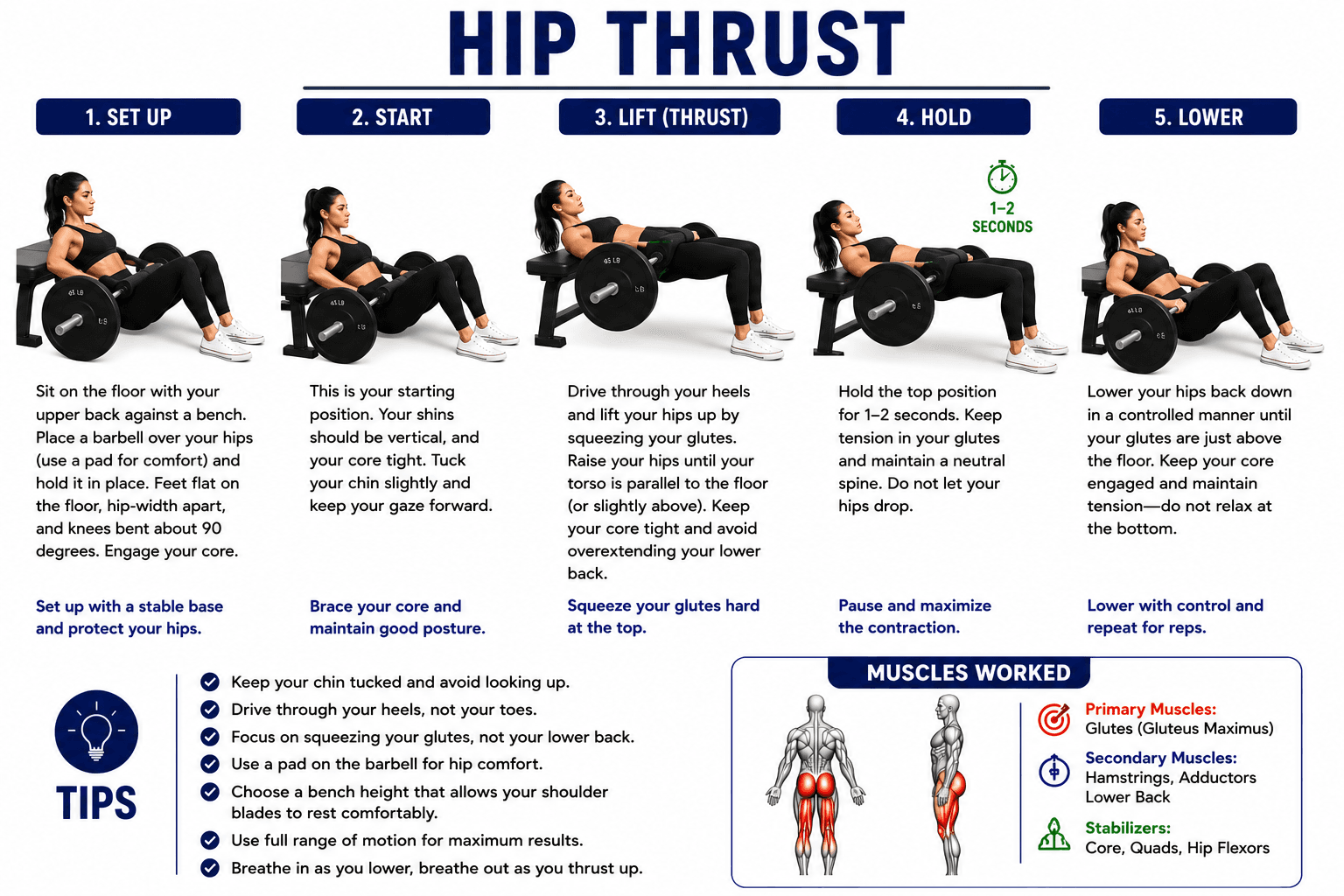 Hip Thrust